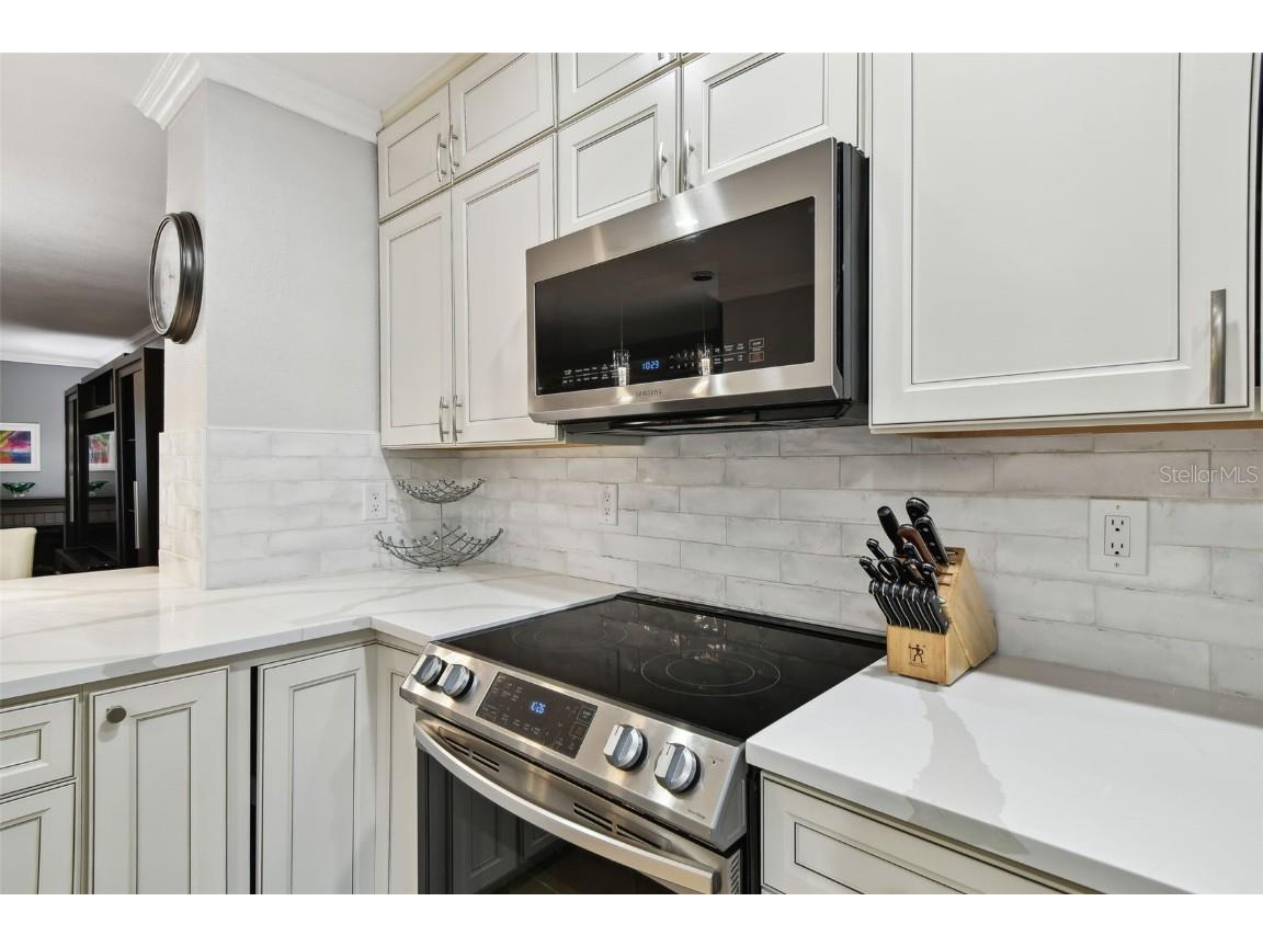 1801 E Lake Road #3A Palm Harbor FL 34685 TB8387876 image15