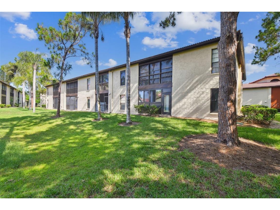 1801 E Lake Road #3A Palm Harbor FL 34685 TB8387876 image31