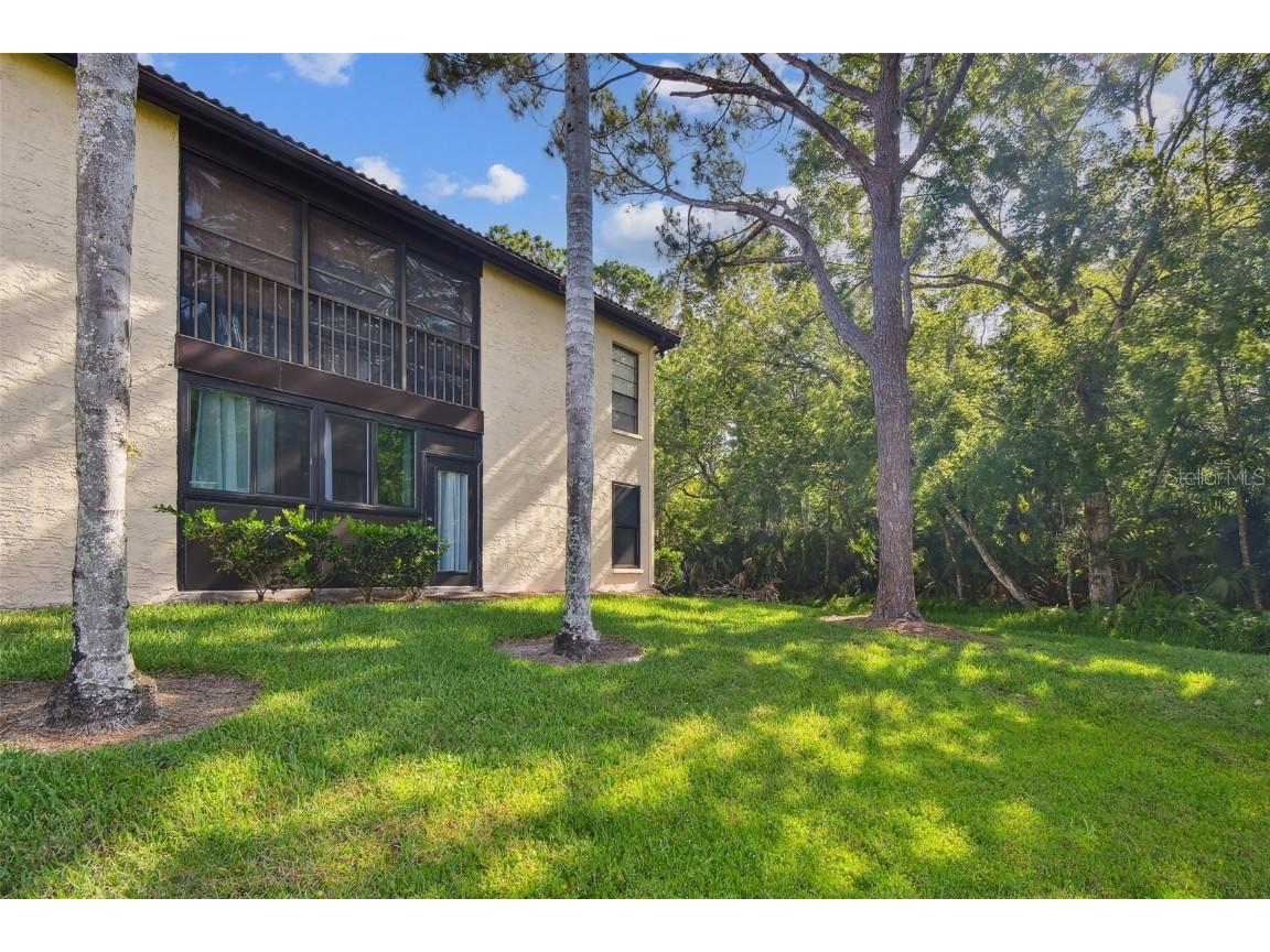 1801 E Lake Road #3A Palm Harbor FL 34685 TB8387876 image32