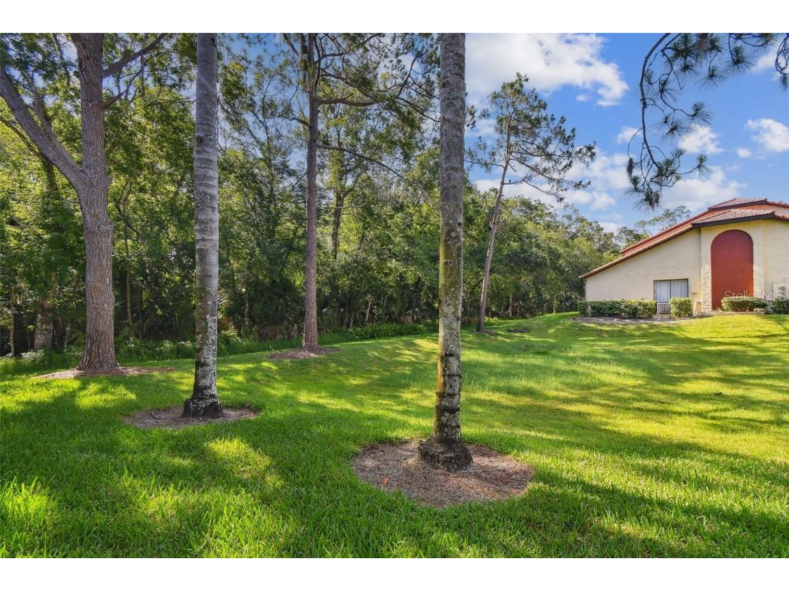 1801 E Lake Road #3A Palm Harbor FL 34685 TB8387876 image34