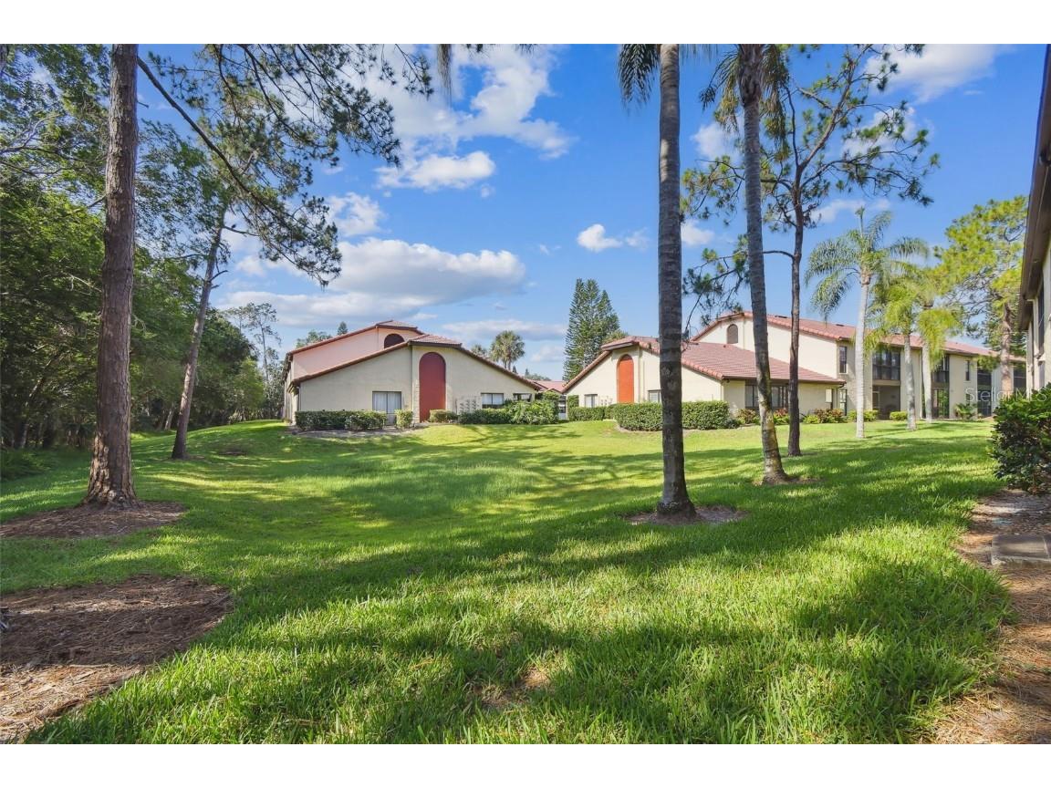 1801 E Lake Road #3A Palm Harbor FL 34685 TB8387876 image36