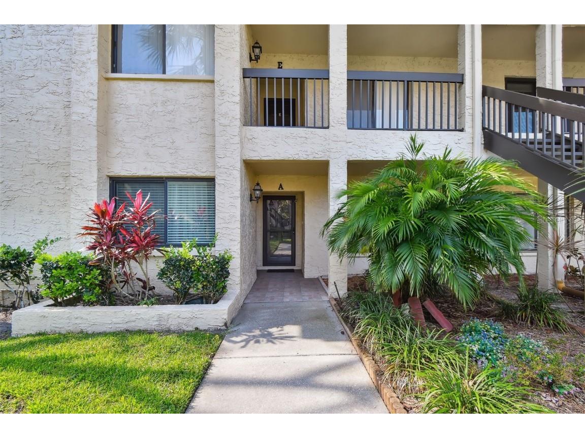 1801 E Lake Road #3A Palm Harbor FL 34685 TB8387876 image41