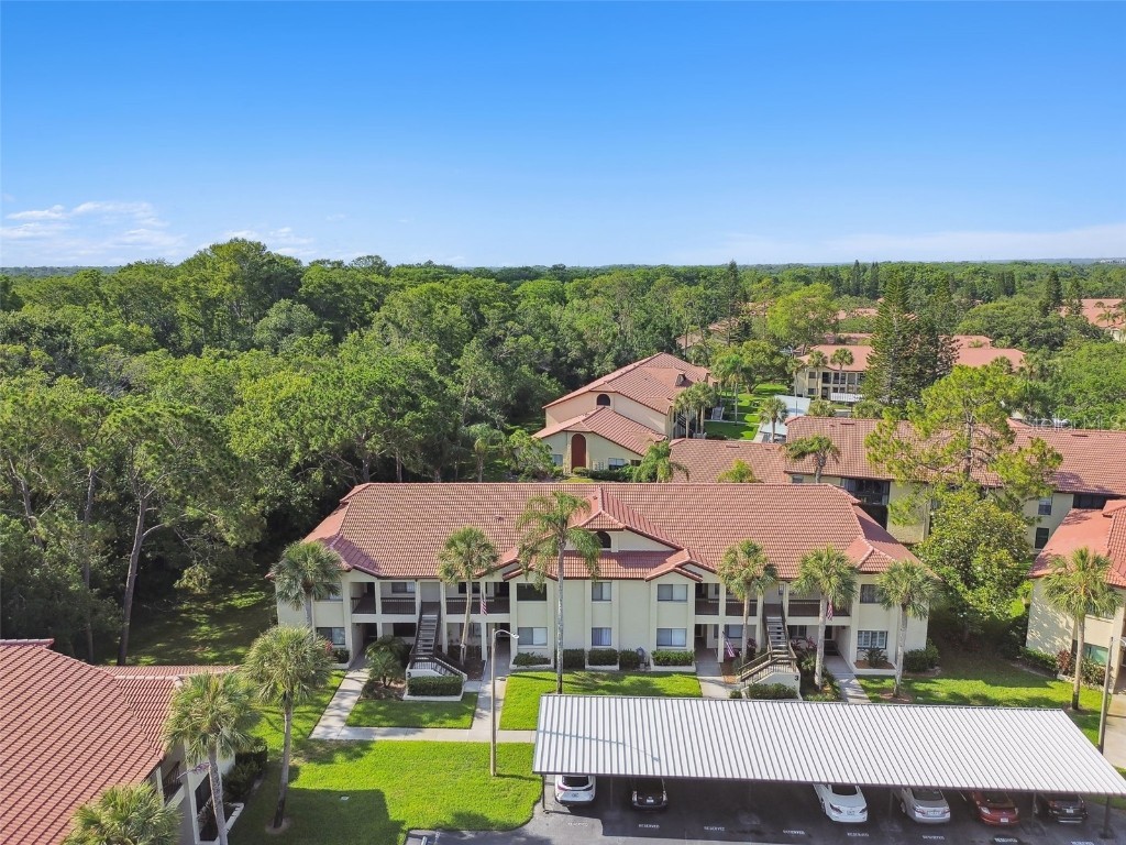 1801 E Lake Road #3A Palm Harbor FL 34685 TB8387876 image45