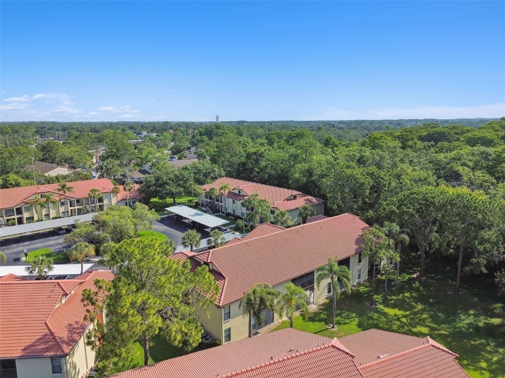 1801 E Lake Road #3A Palm Harbor FL 34685 TB8387876 image47