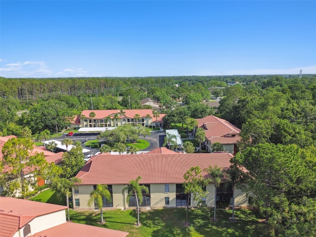 1801 E Lake Road #3A Palm Harbor FL 34685 TB8387876 image48