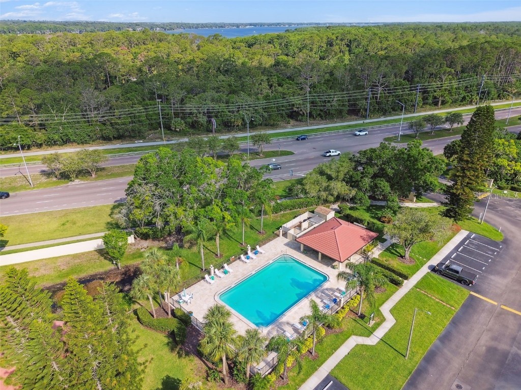 1801 E Lake Road #3A Palm Harbor FL 34685 TB8387876 image50