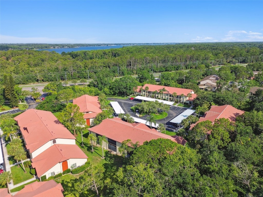 1801 E Lake Road #3A Palm Harbor FL 34685 TB8387876 image52