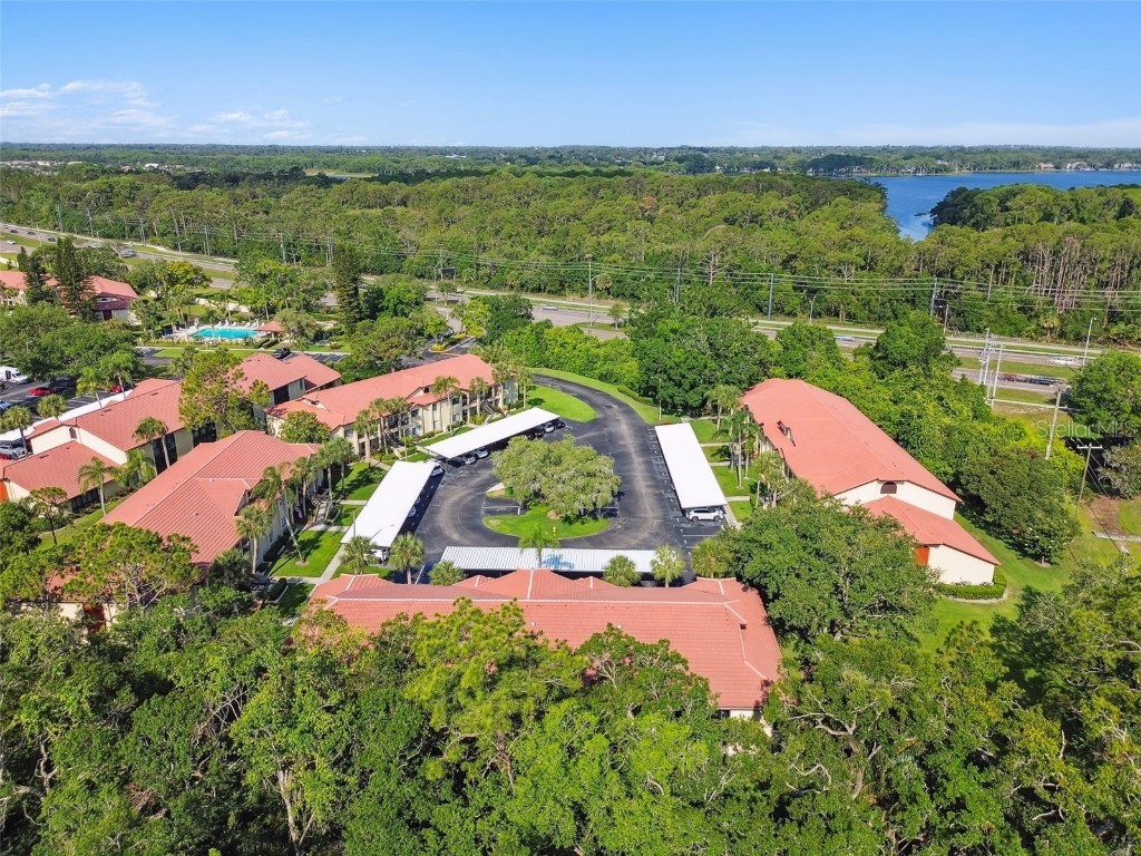 1801 E Lake Road #3A Palm Harbor FL 34685 TB8387876 image53