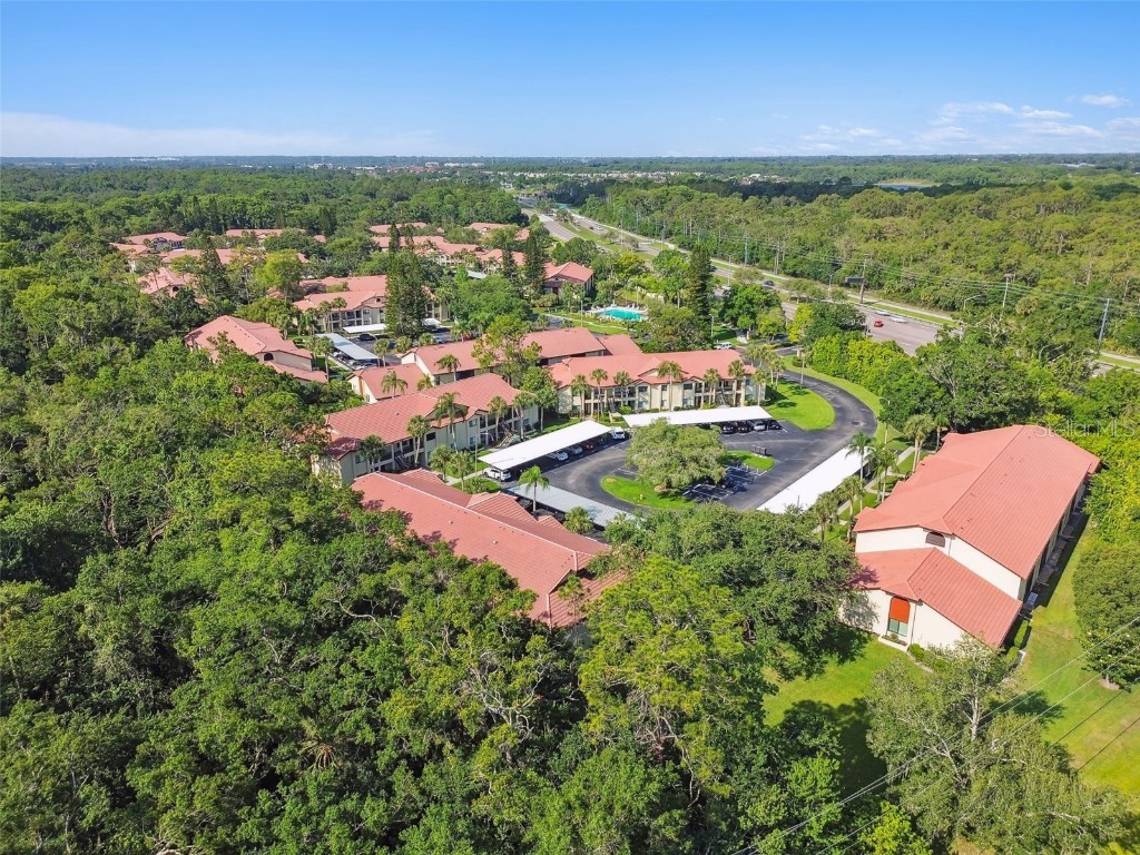 1801 E Lake Road #3A Palm Harbor FL 34685 TB8387876 image54