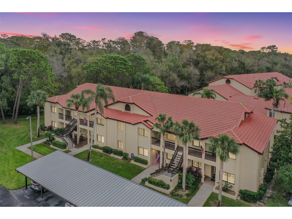 1801 E Lake Road #3G Palm Harbor FL 34685 TB8318369 image1