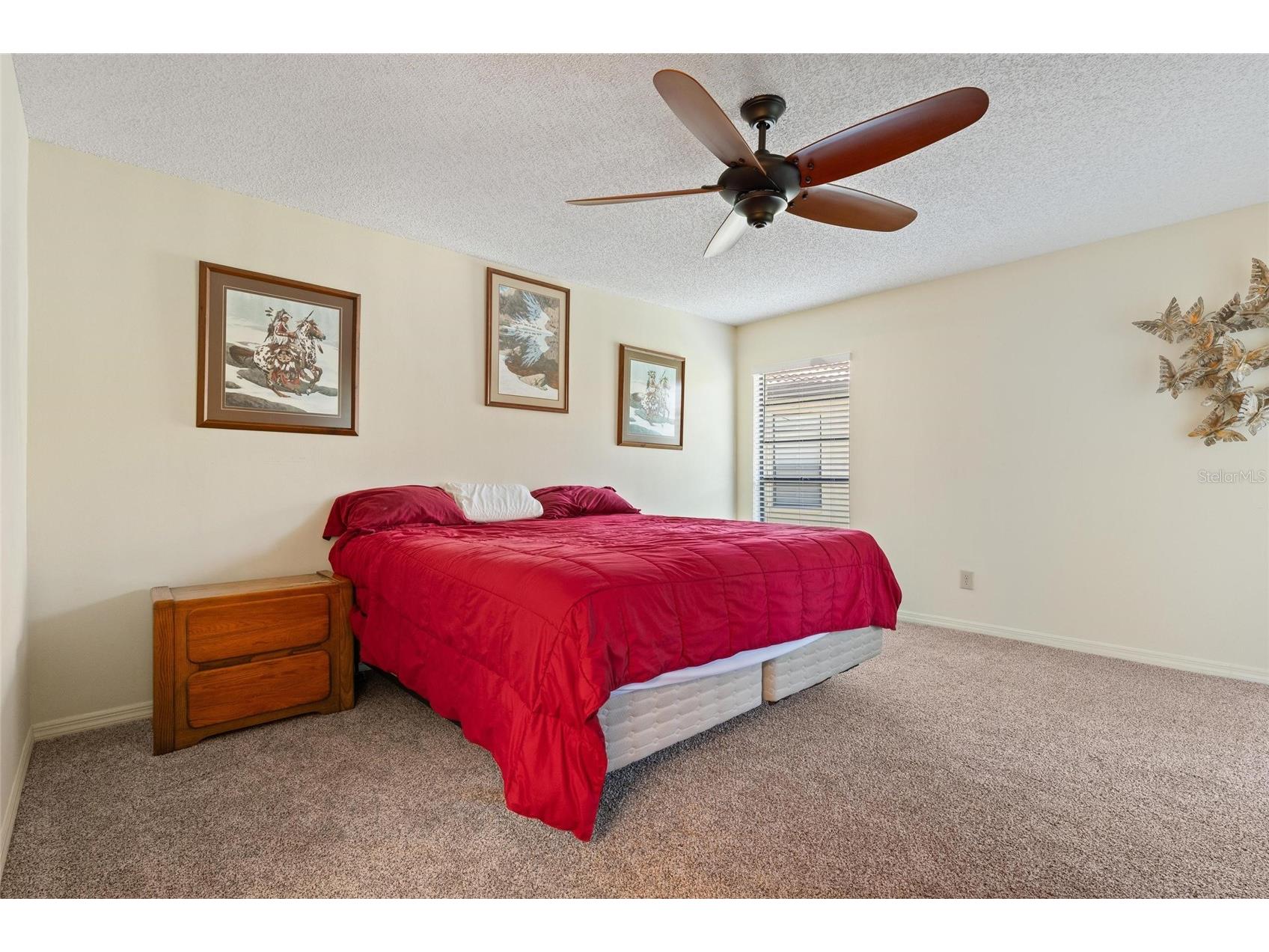 1801 E Lake Road #4E Palm Harbor FL 34685 TB8508789 image15