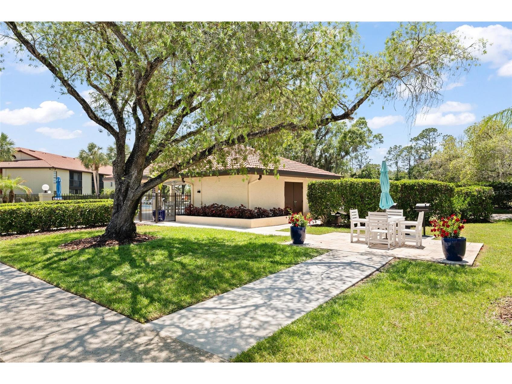 1801 E Lake Road #4E Palm Harbor FL 34685 TB8508789 image27