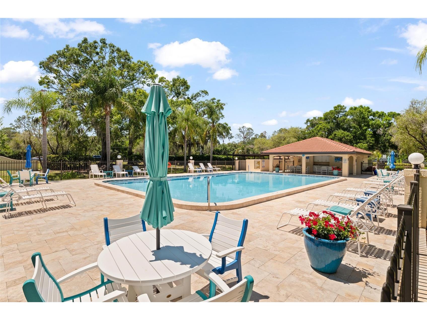1801 E Lake Road #4E Palm Harbor FL 34685 TB8508789 image28