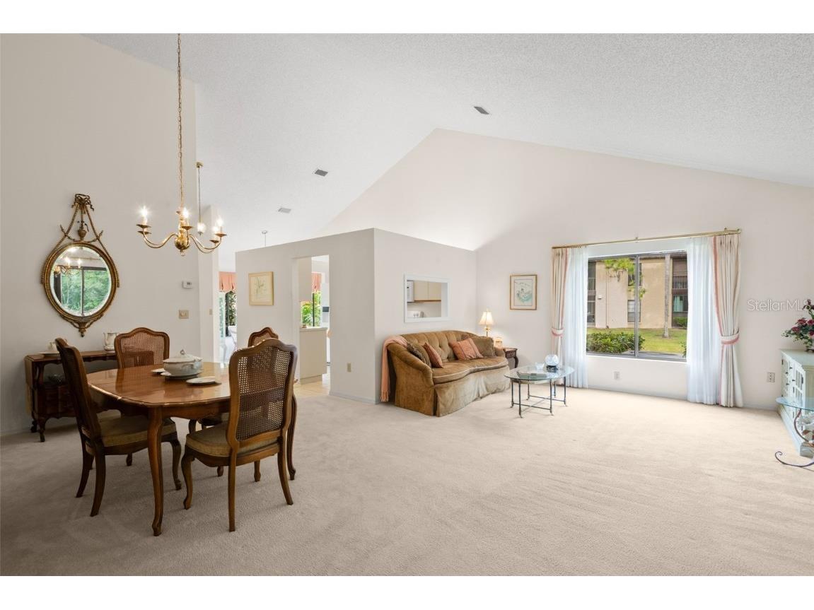 1801 E Lake Road #6A Palm Harbor FL 34685 TB8446587 image10