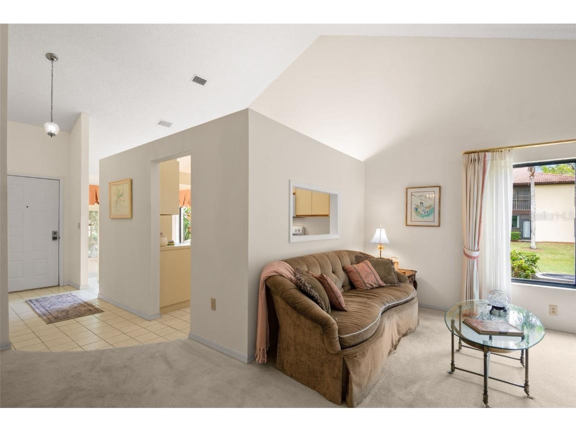 1801 E Lake Road #6A Palm Harbor FL 34685 TB8446587 image11