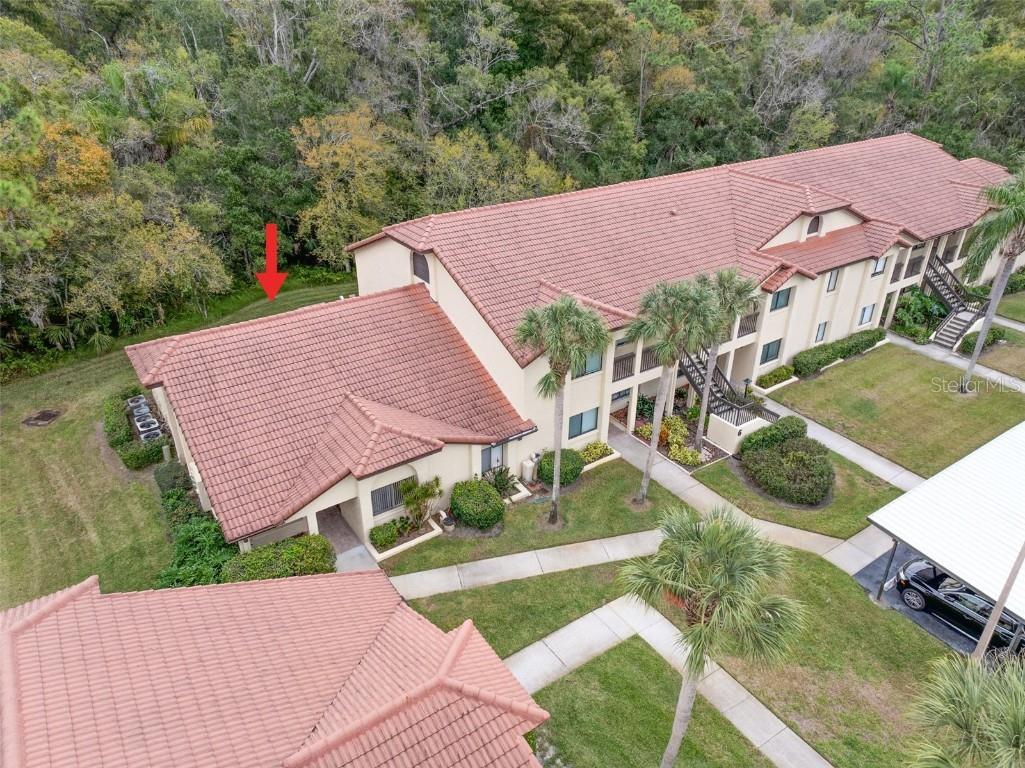 1801 E Lake Road #6A Palm Harbor FL 34685 TB8446587 image2