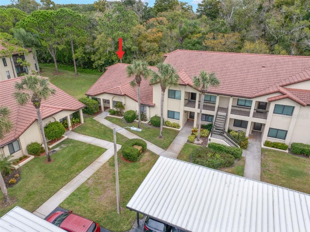 1801 E Lake Road #6A Palm Harbor FL 34685 TB8446587 image4