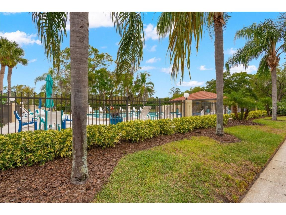 1801 E Lake Road #6A Palm Harbor FL 34685 TB8446587 image41