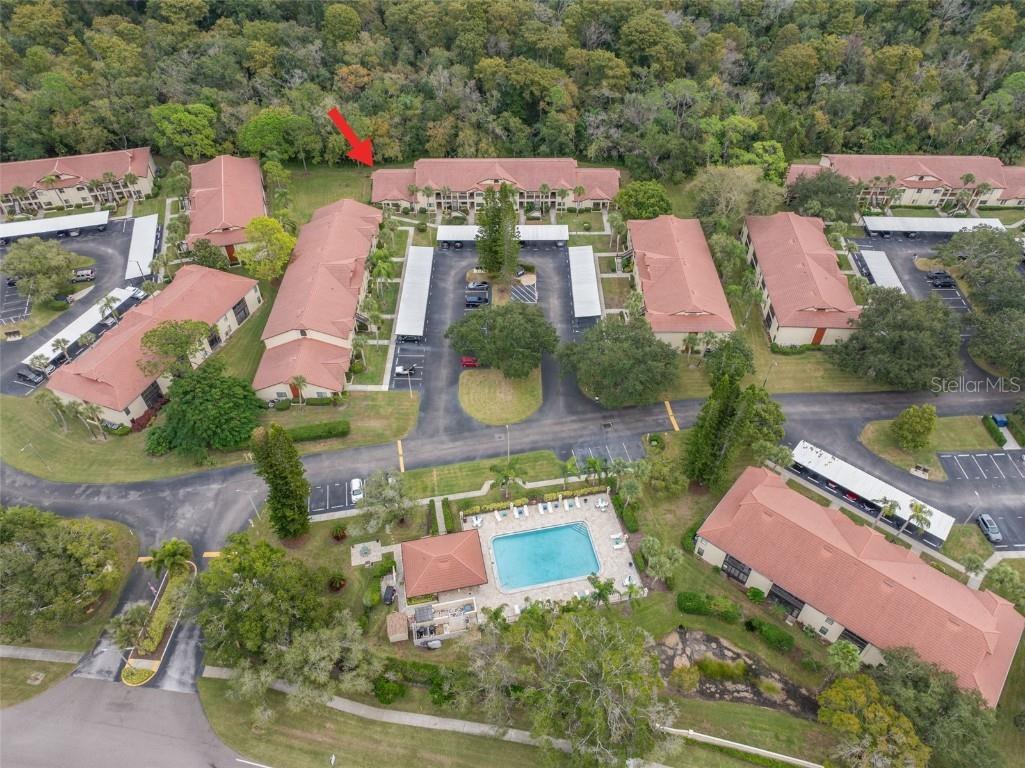 1801 E Lake Road #6A Palm Harbor FL 34685 TB8446587 image45