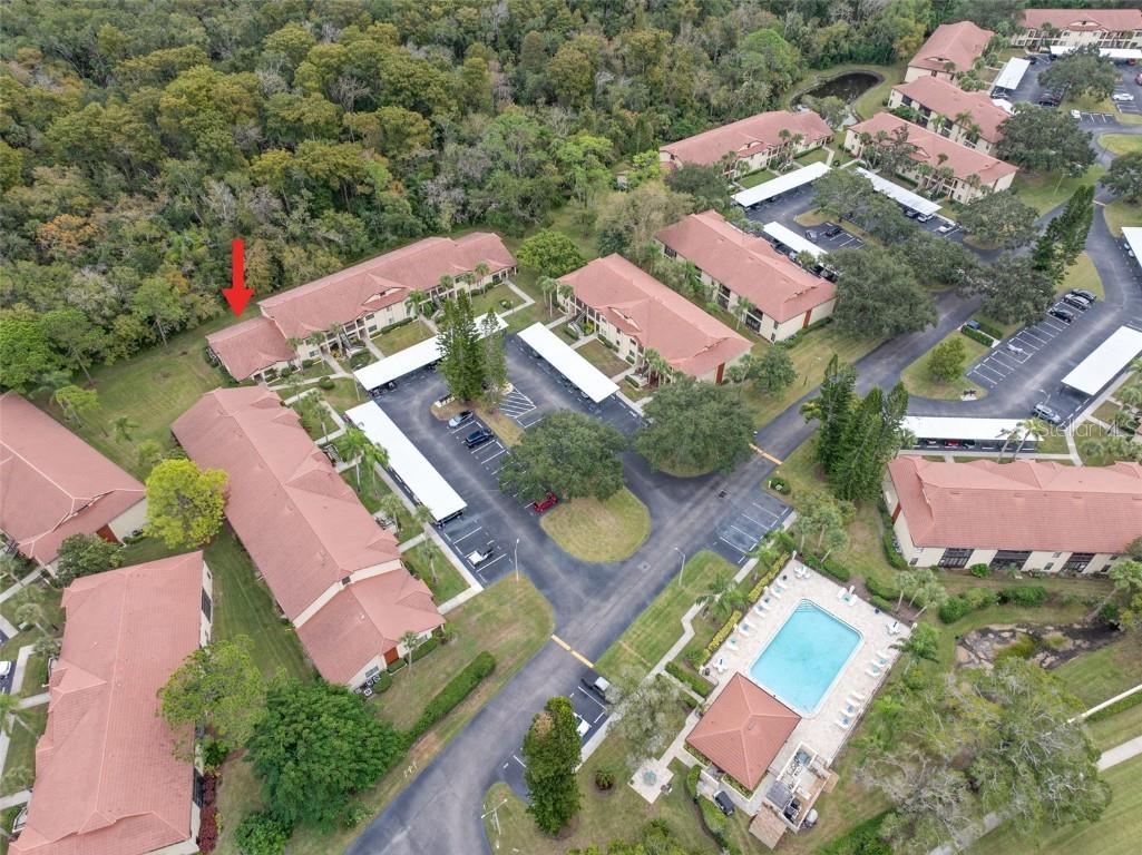 1801 E Lake Road #6A Palm Harbor FL 34685 TB8446587 image46