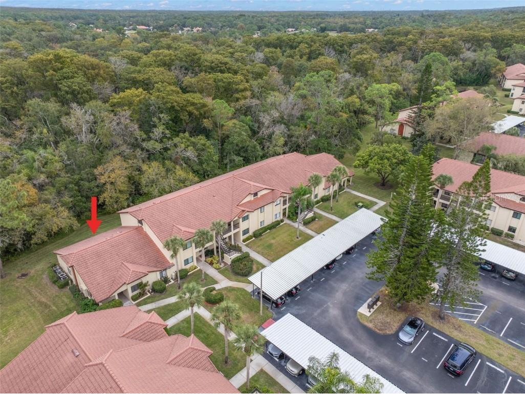 1801 E Lake Road #6A Palm Harbor FL 34685 TB8446587 image47