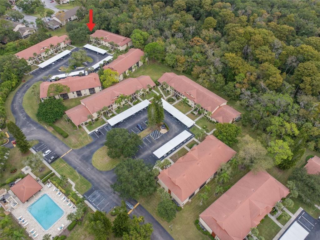 1801 E Lake Road #6A Palm Harbor FL 34685 TB8446587 image48