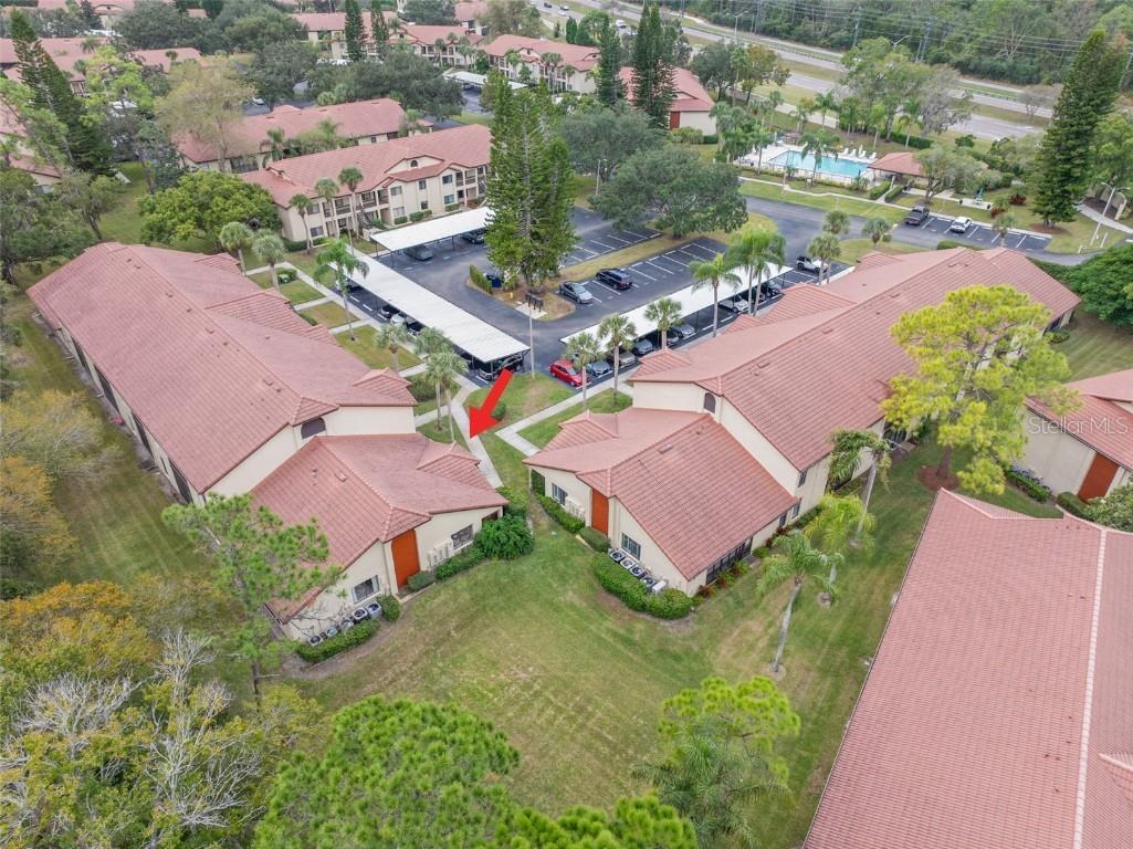 1801 E Lake Road #6A Palm Harbor FL 34685 TB8446587 image49