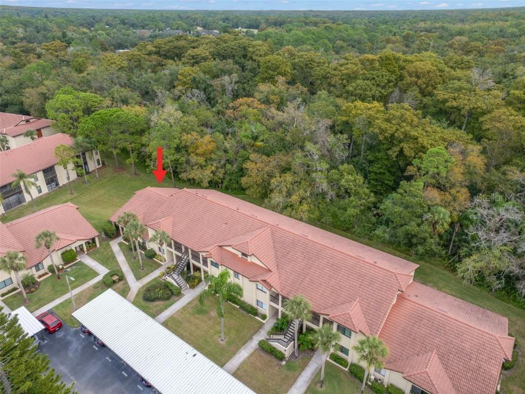 1801 E Lake Road #6A Palm Harbor FL 34685 TB8446587 image50