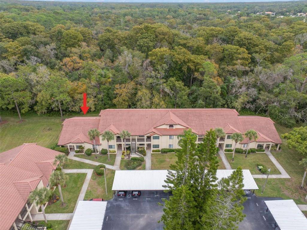 1801 E Lake Road #6A Palm Harbor FL 34685 TB8446587 image6