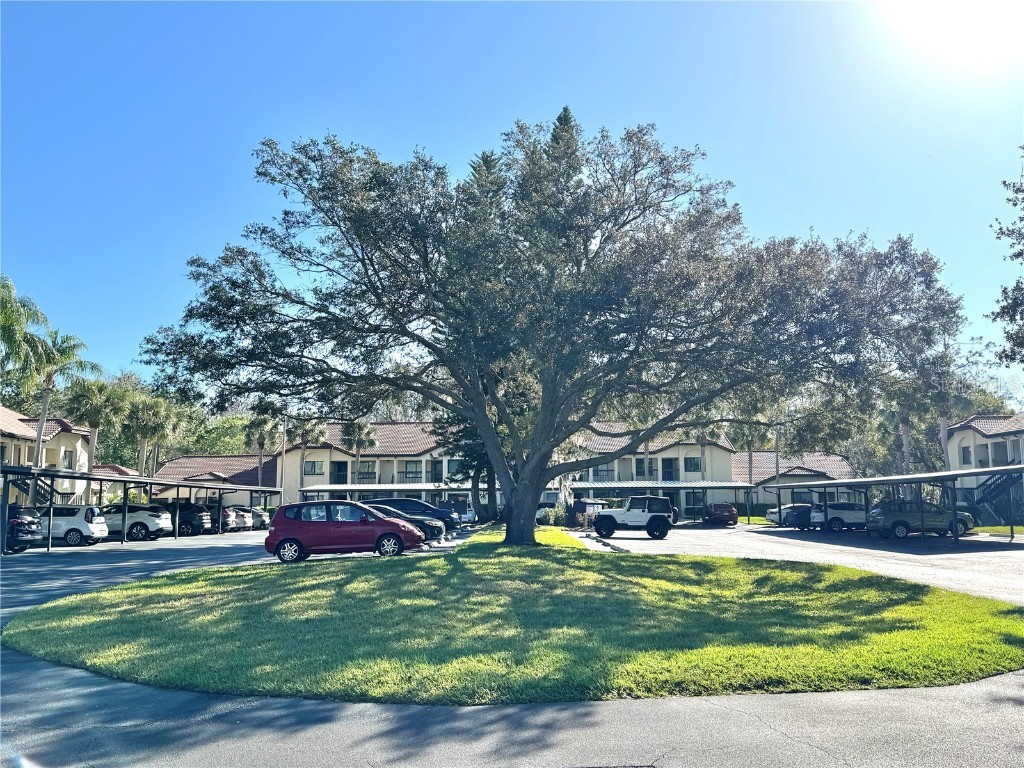 1801 E Lake Road #6B Palm Harbor FL 34685 TB8353994 image1