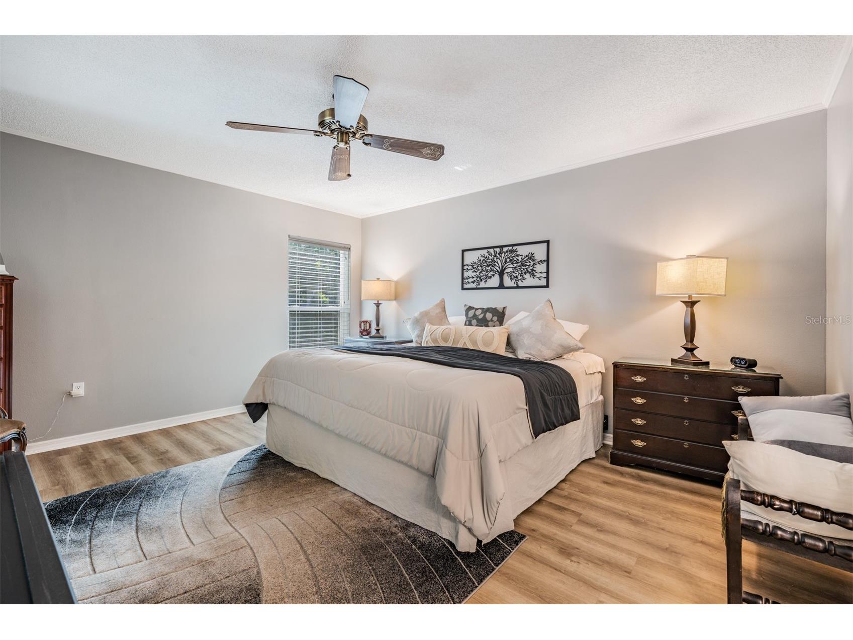 1801 E Lake Road #6J Palm Harbor FL 34685 TB8500615 image19