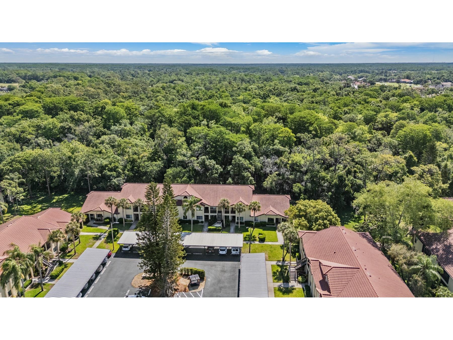 1801 E Lake Road #6J Palm Harbor FL 34685 TB8500615 image2