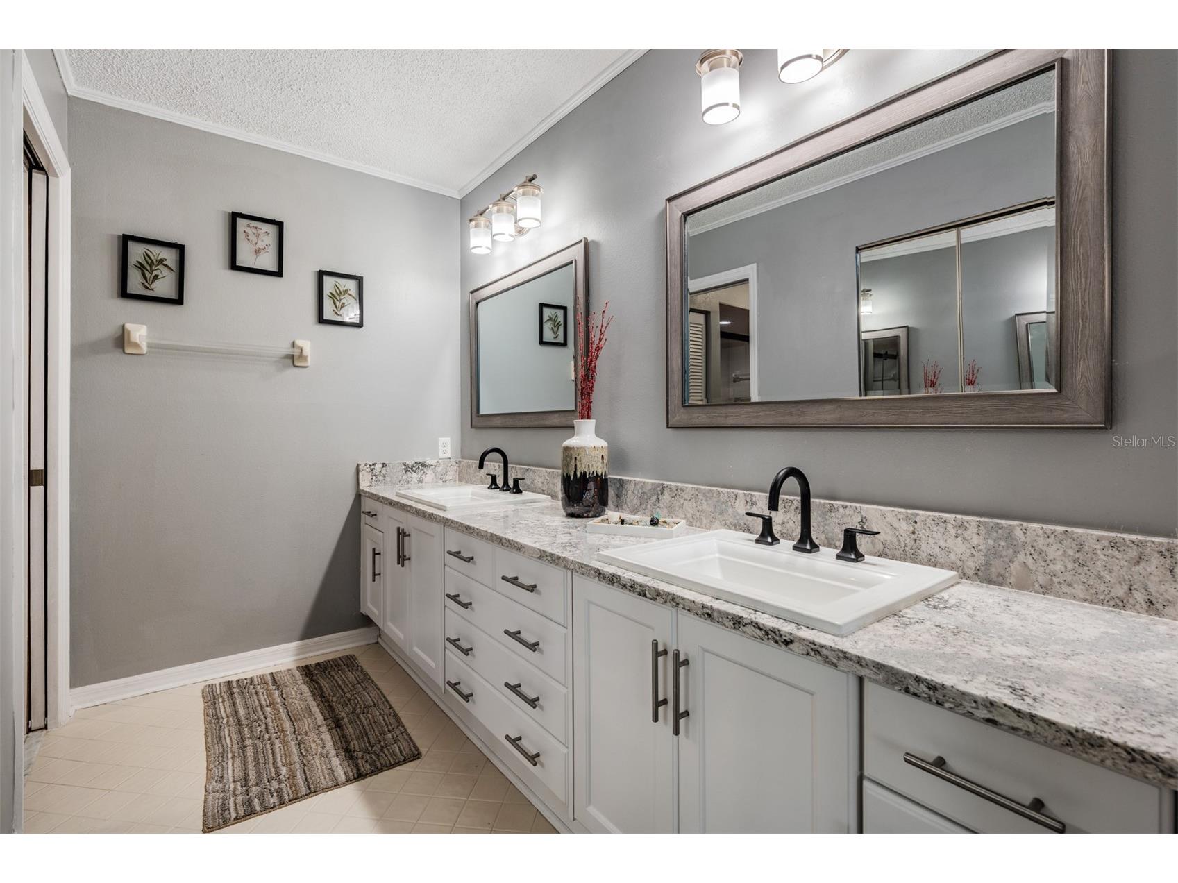 1801 E Lake Road #6J Palm Harbor FL 34685 TB8500615 image21