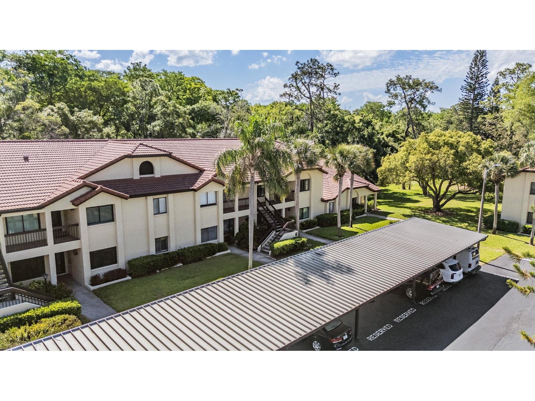 1801 E Lake Road #6J Palm Harbor FL 34685 TB8500615 image32