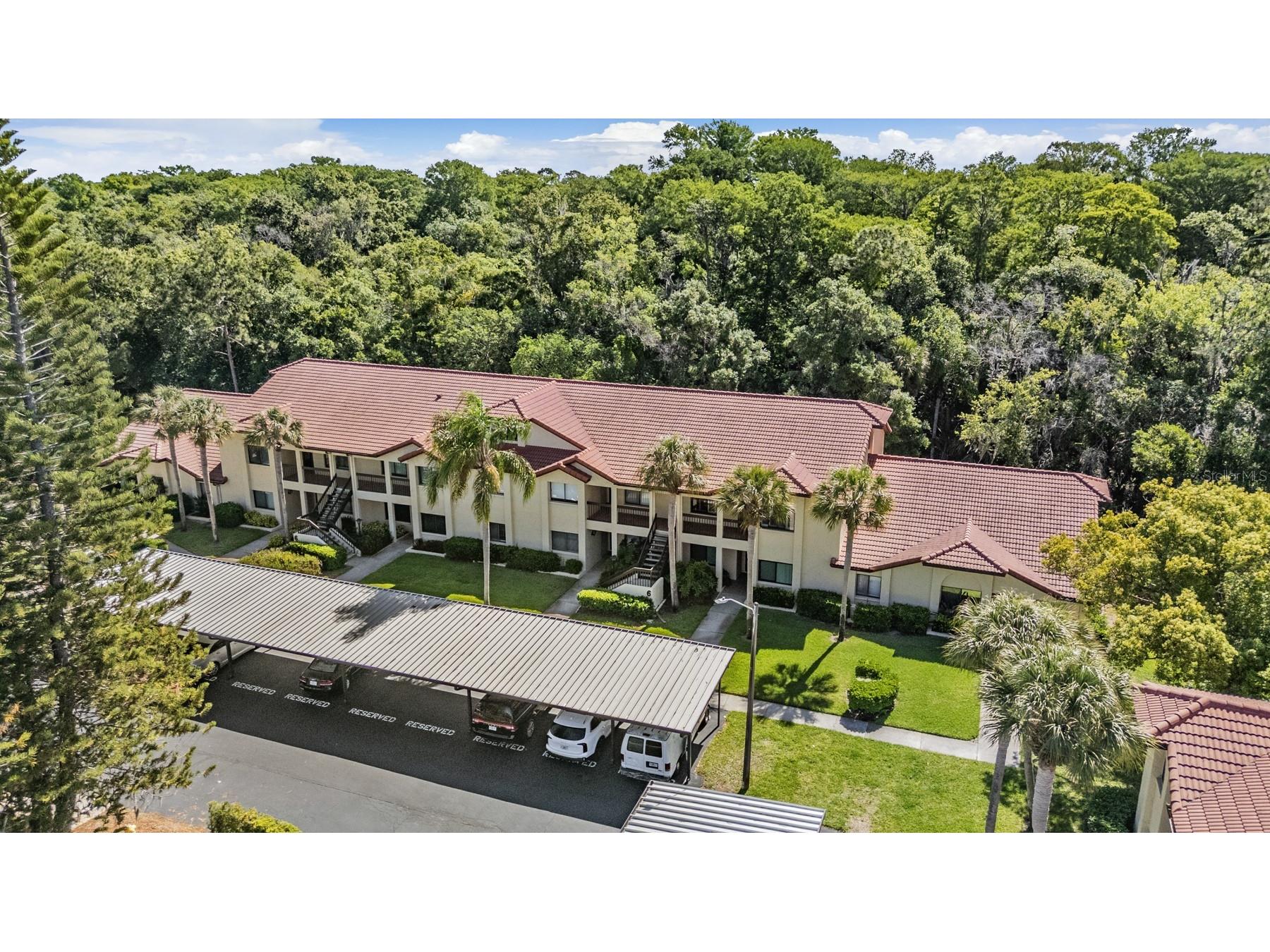 1801 E Lake Road #6J Palm Harbor FL 34685 TB8500615 image34