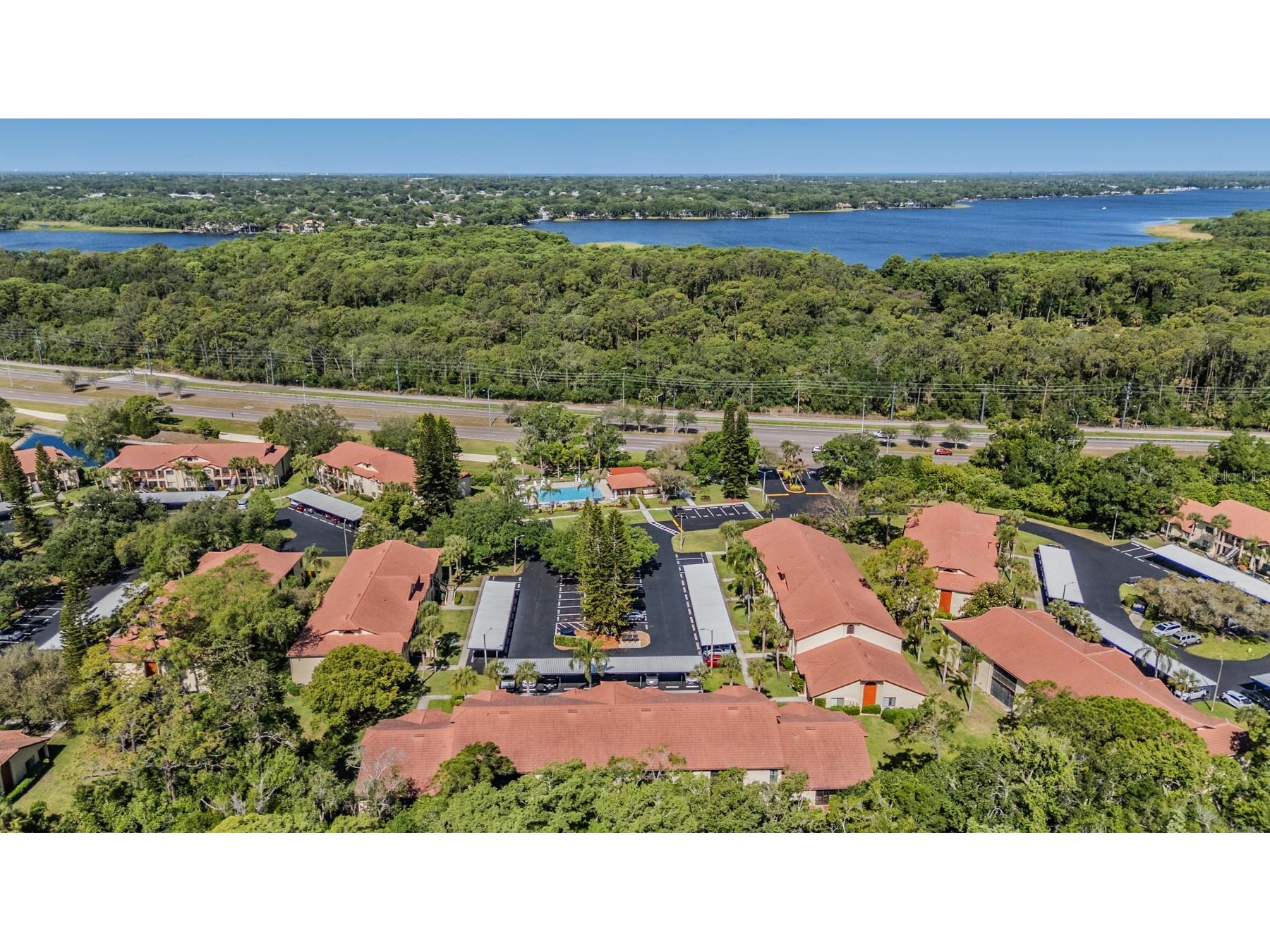 1801 E Lake Road #6J Palm Harbor FL 34685 TB8500615 image36