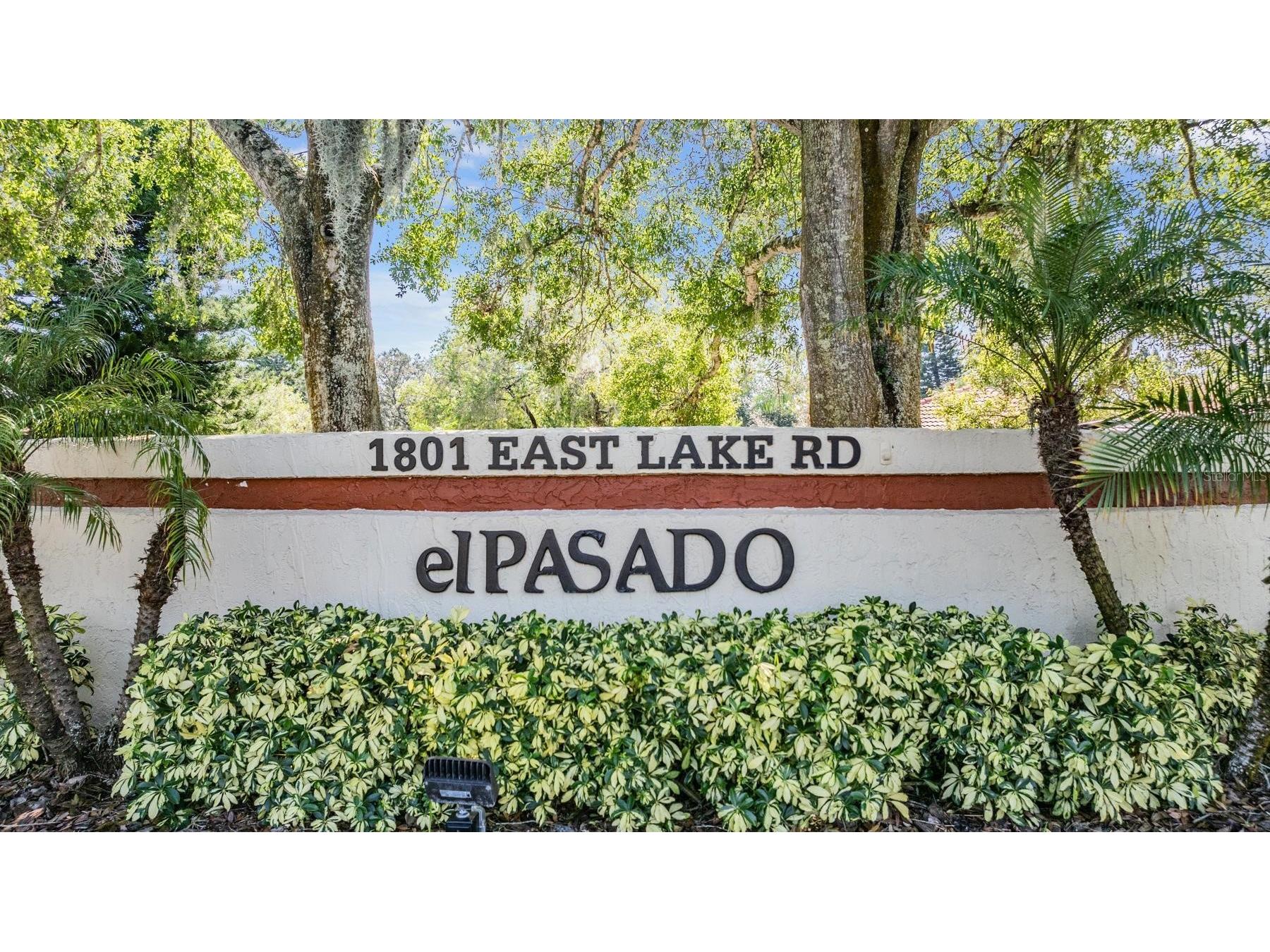 1801 E Lake Road #6J Palm Harbor FL 34685 TB8500615 image37