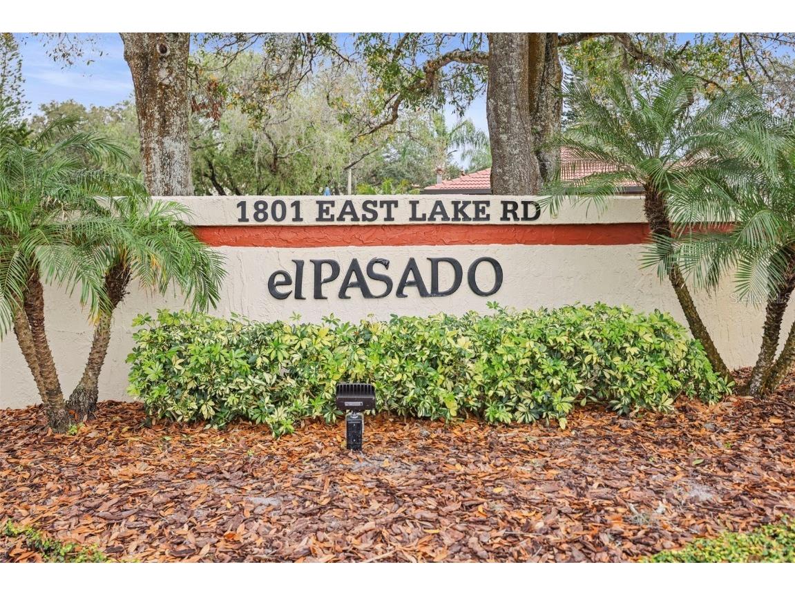 1801 E Lake Road #8E Palm Harbor FL 34685 TB8429172 image21