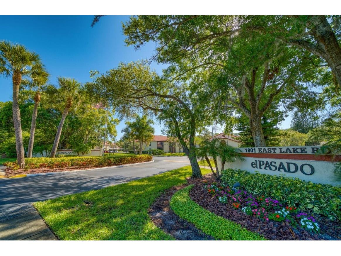 1801 E Lake Road #8G Palm Harbor FL 34685 U8215381 image1