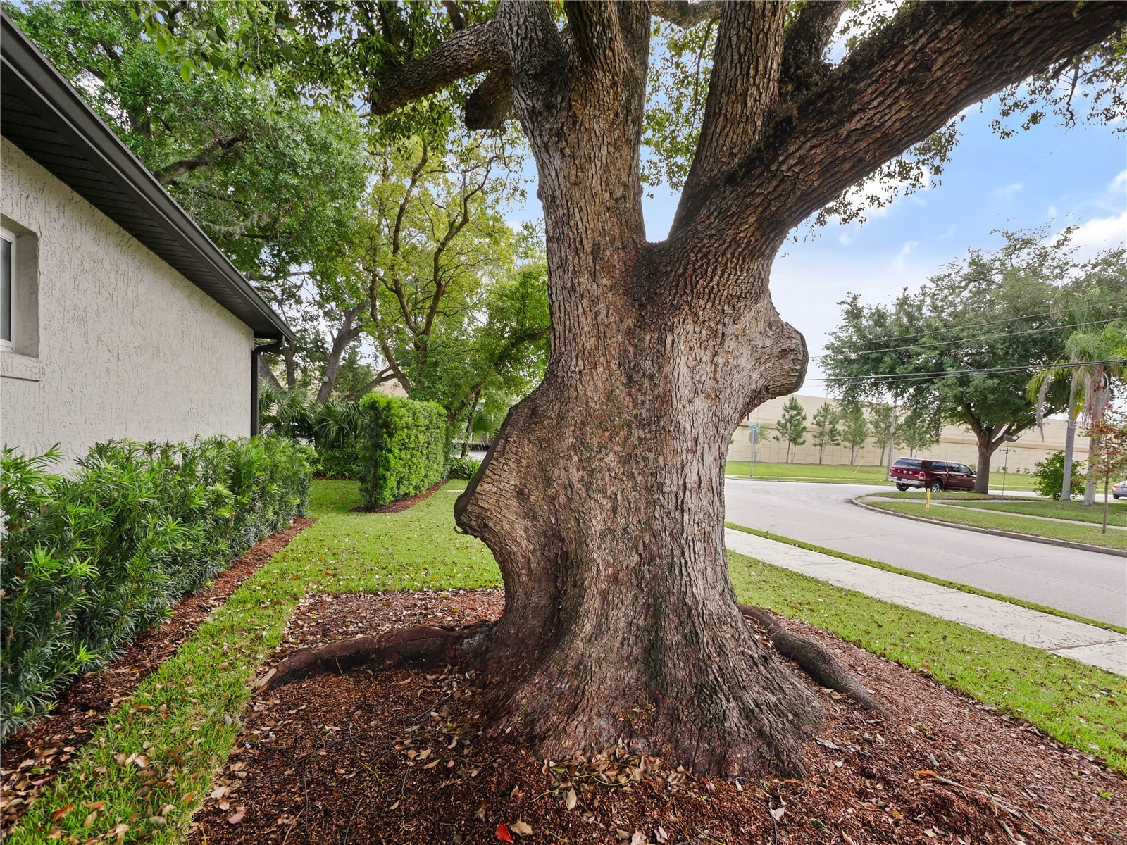 1801 Formosa Avenue Orlando FL 32804 O6394609 image33