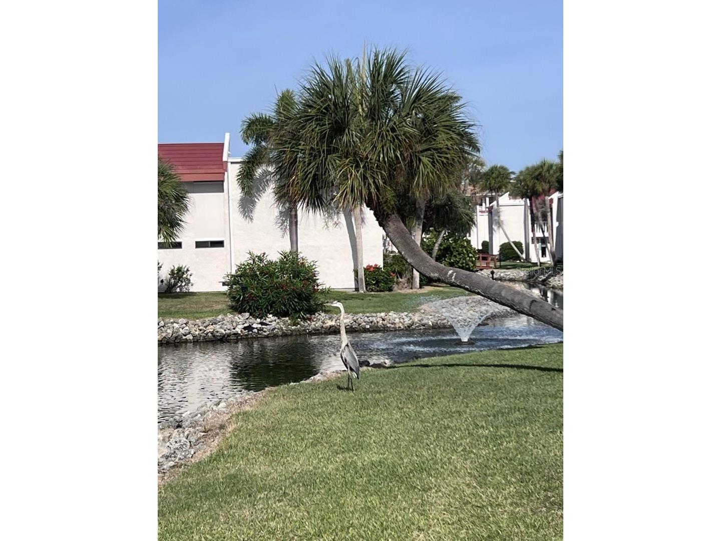 1801 Gulf Drive N #184 Bradenton Beach FL 34217 - ANNA MARIA SOUND / GULF OF MEX A4692755 image26