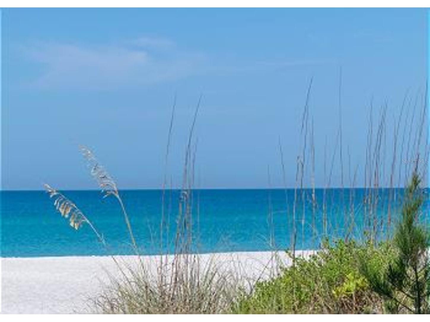 1801 Gulf Drive N #293 Bradenton Beach FL 34217 A4690548 image67