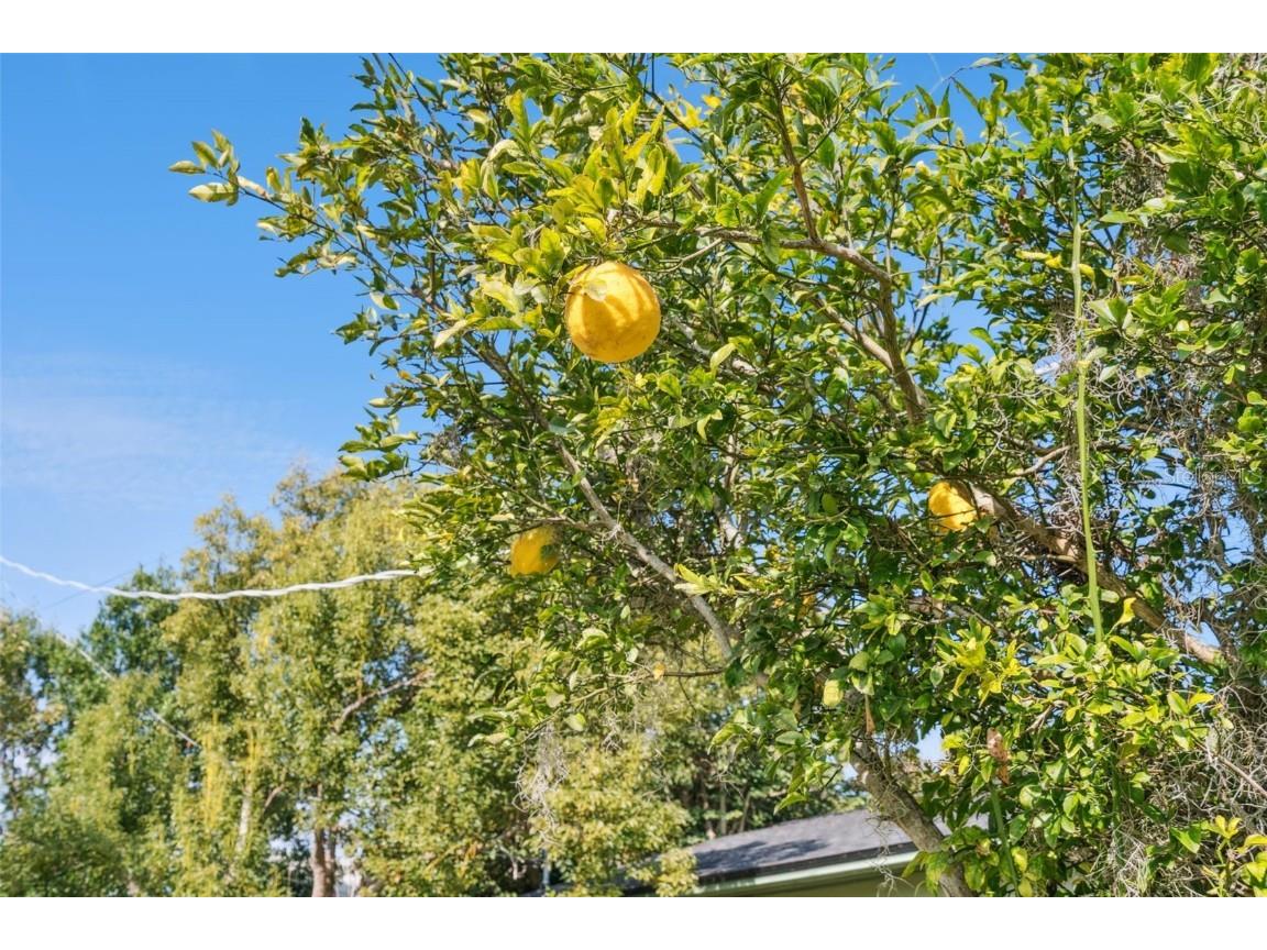 1801 Lakeshore Boulevard Saint Cloud FL 34769 - LAKE TOHO S5139038 image27