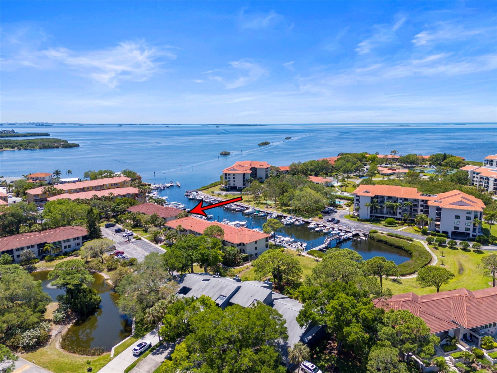 1801 Mariner Drive #20 Tarpon Springs FL 34689 - GULF OF MEXICO U8239400 image63