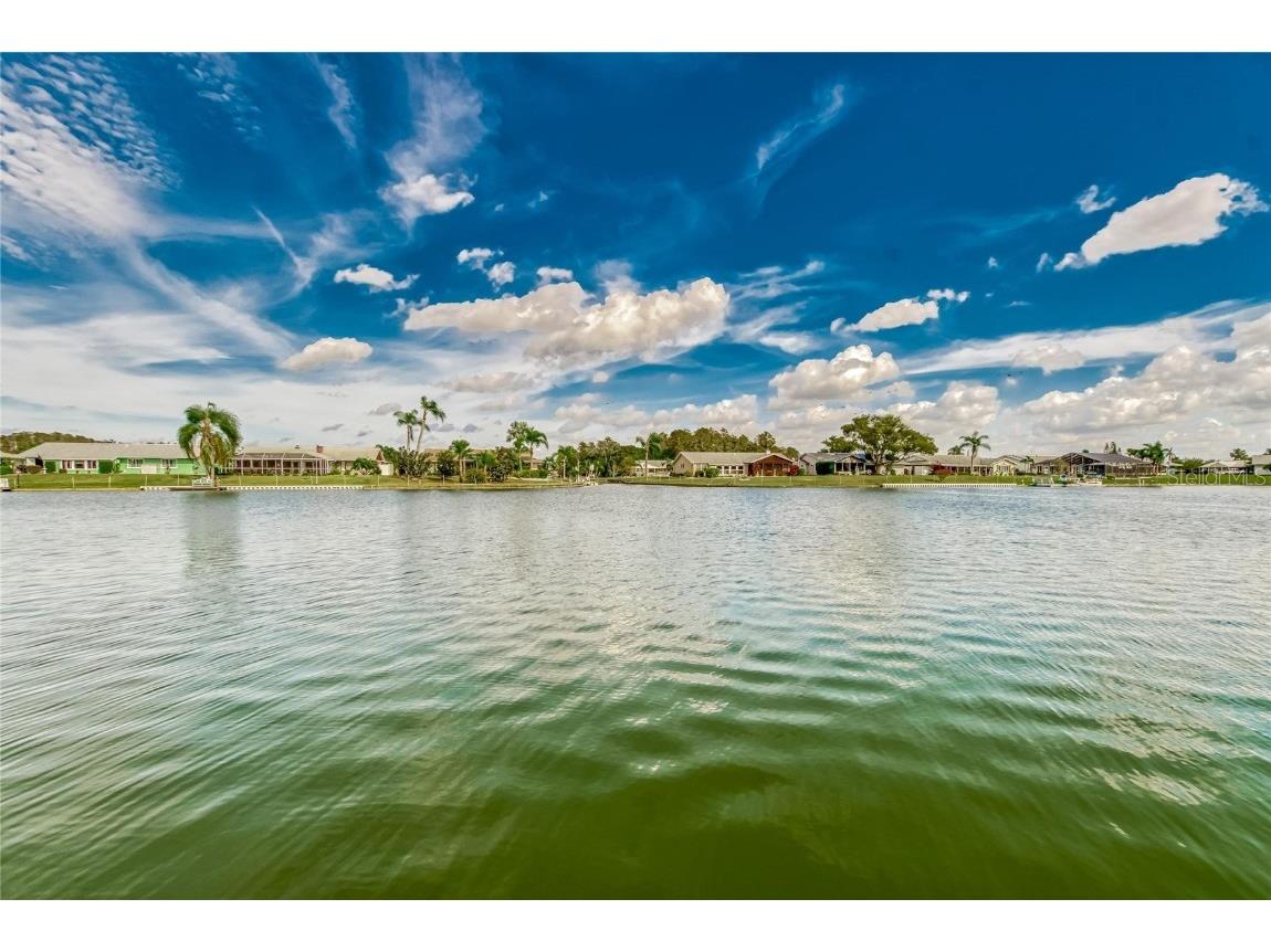 1801 Milford Circle Sun City Center FL 33573 - Middle lake T3417375 image1