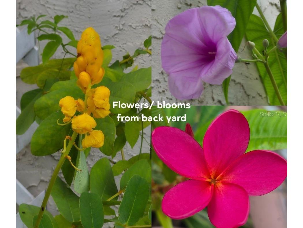 1801 Missouri Ave Saint Cloud FL 34769 G5105222 image30