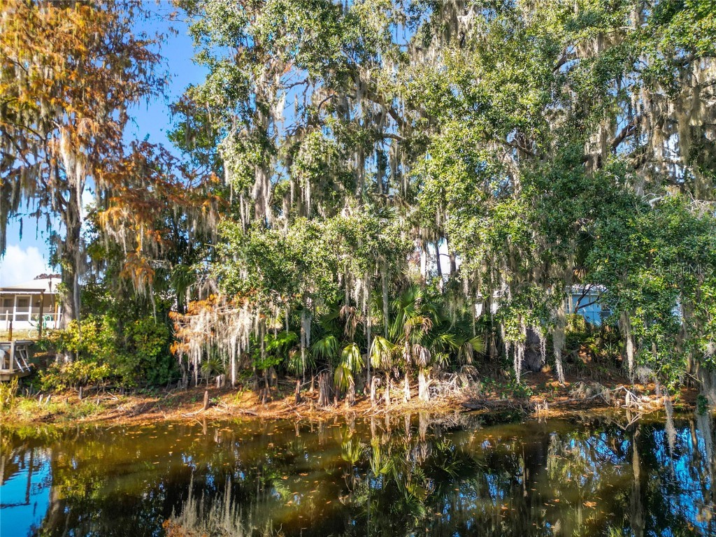 1801 S Mooring Drive Inverness FL 34450 O6368341 image21
