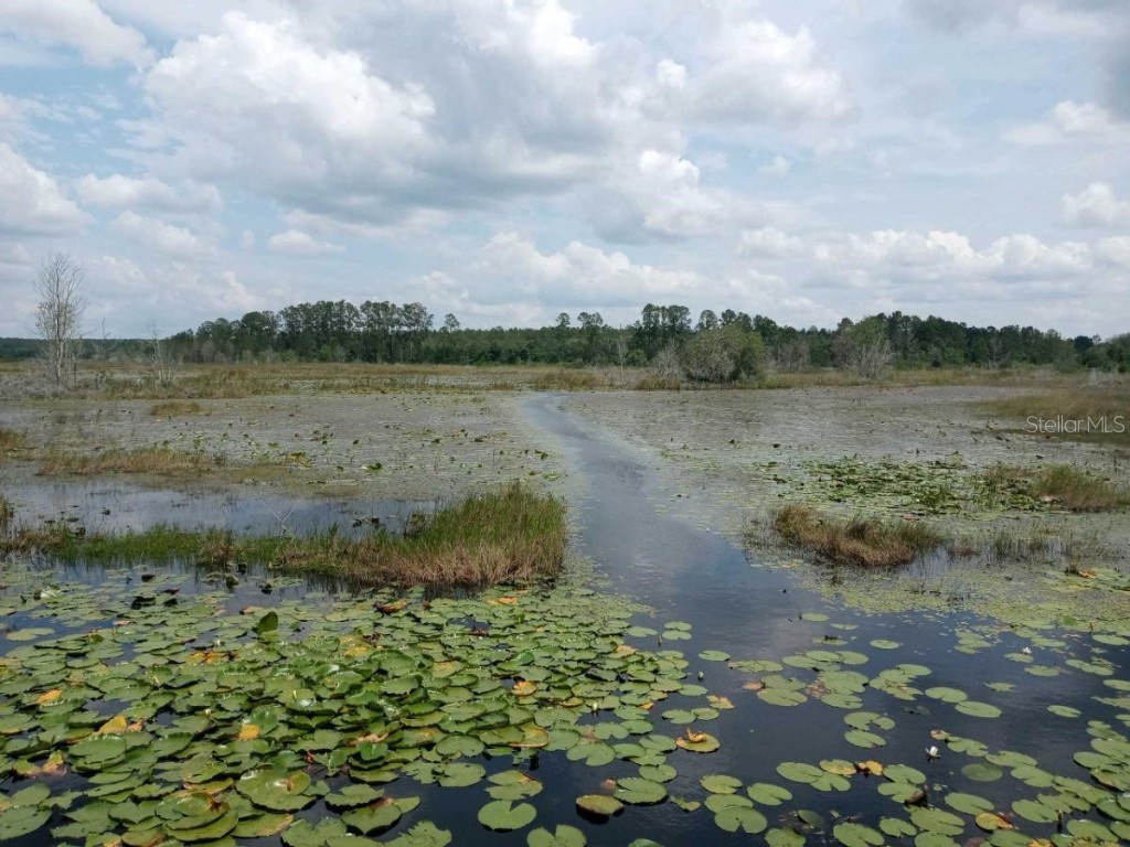 1801 SE 190th Avenue Silver Springs FL 34488 - HALFMOON LAKE OM659058 image1