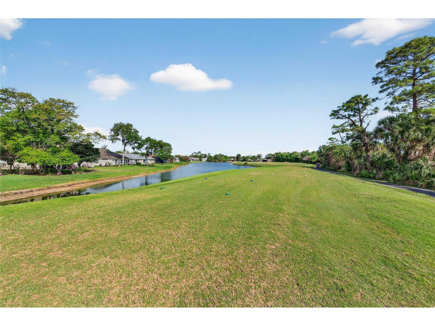 1801 Turnbull Lakes Drive New Smyrna Beach FL 32168 NS1087768 image30