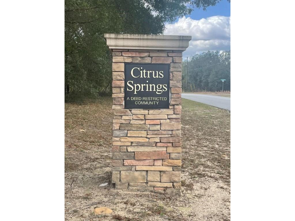 1801 W G Martinelli Boulevard Citrus Springs FL 34434 OM648723 image1
